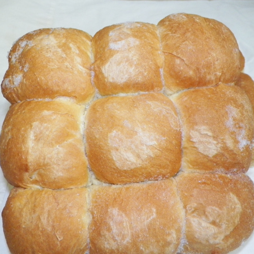 Dinner Rolls